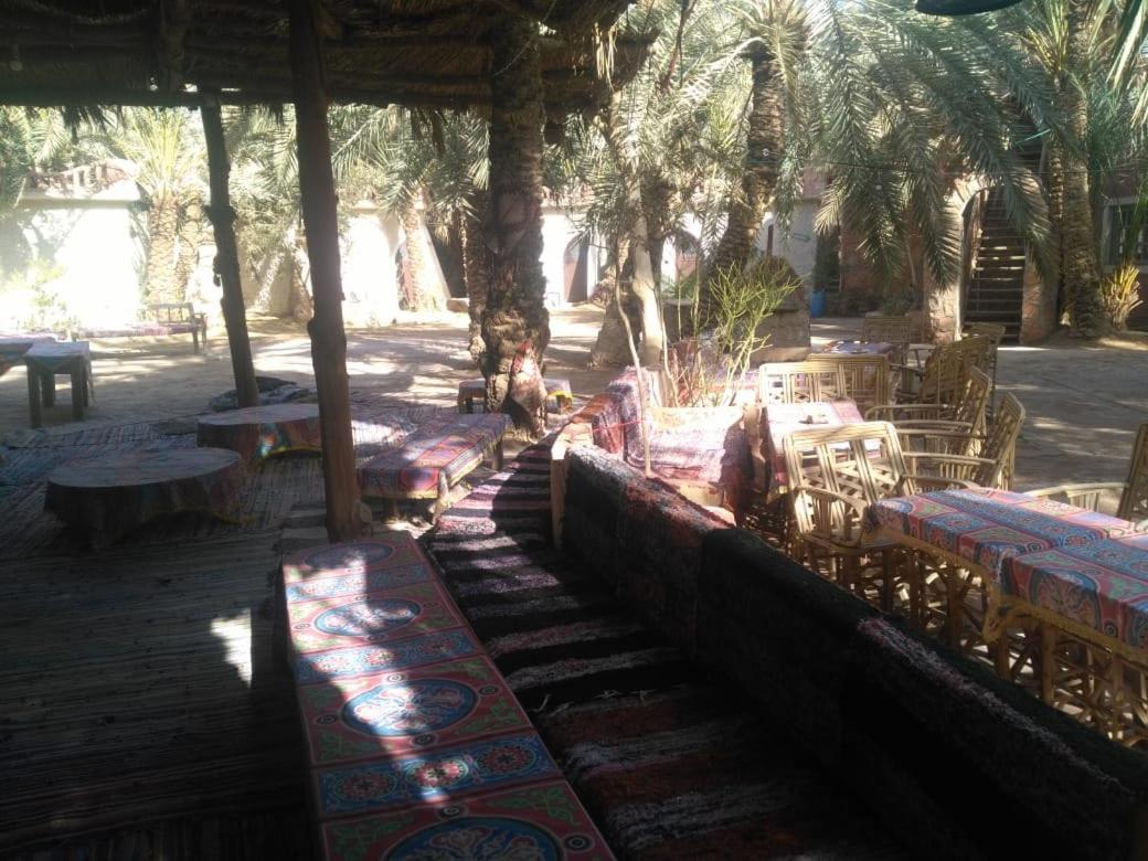 Siwa Oasis Siwa Paradise מראה חיצוני תמונה