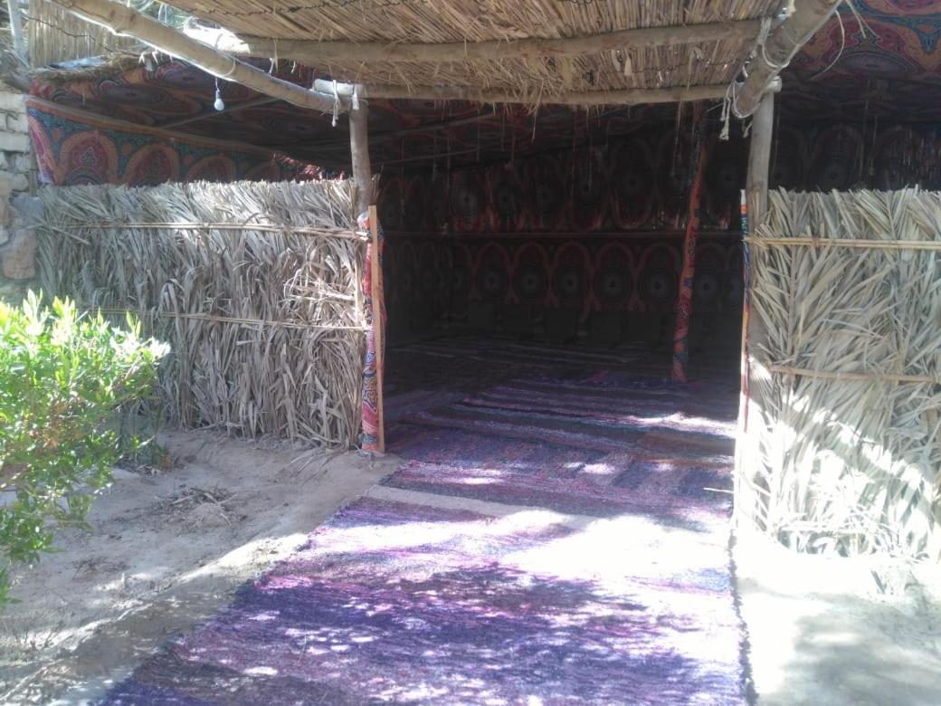 Siwa Oasis Siwa Paradise מראה חיצוני תמונה