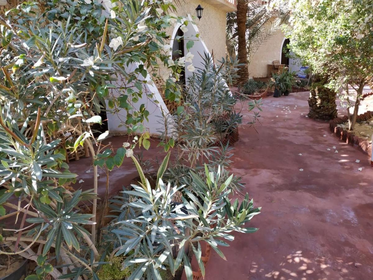 Siwa Oasis Siwa Paradise מראה חיצוני תמונה