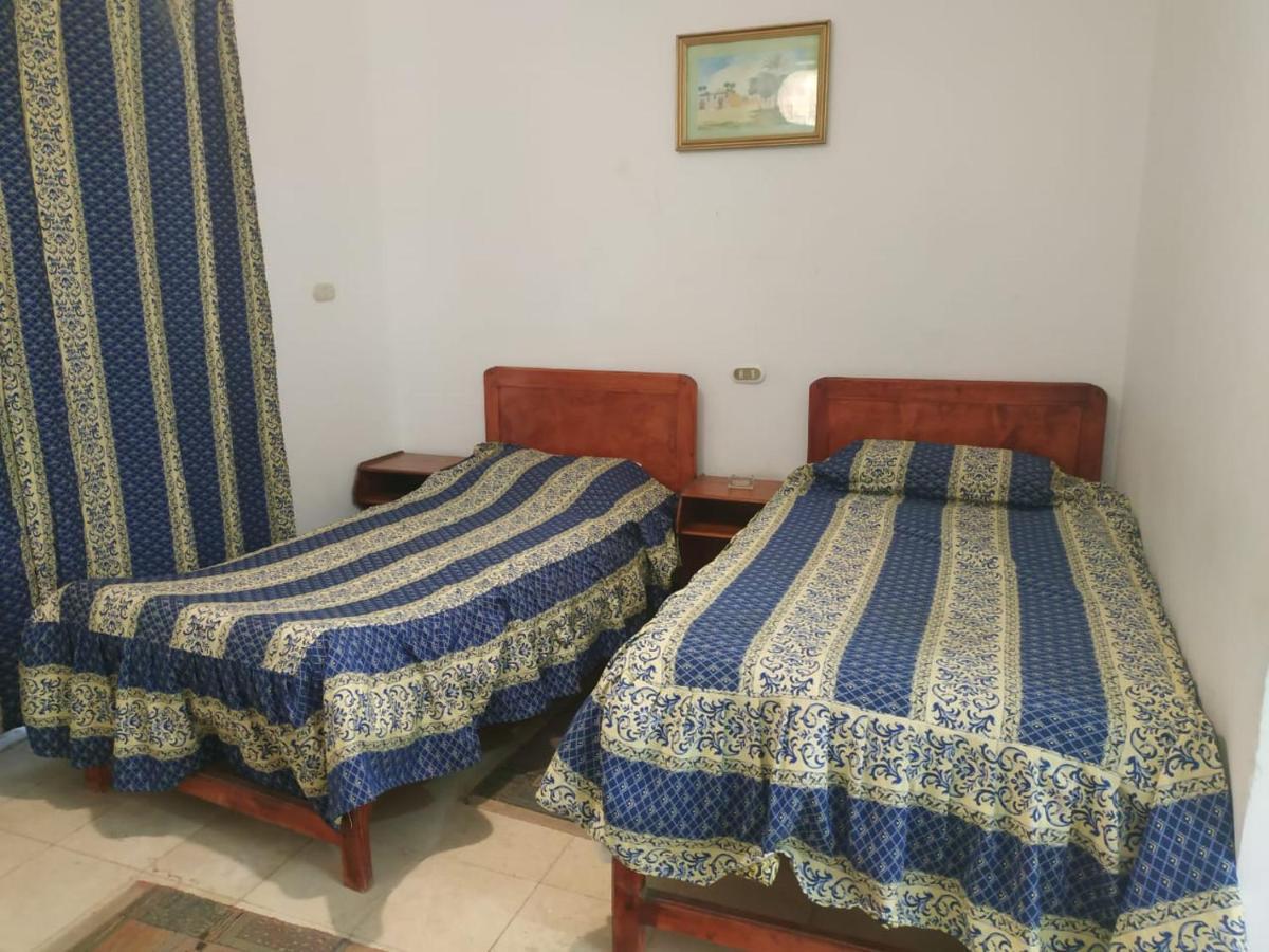 Siwa Oasis Siwa Paradise מראה חיצוני תמונה