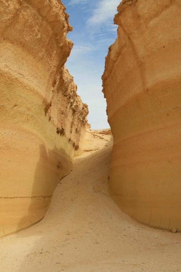 Siwa Oasis Siwa Paradise מראה חיצוני תמונה